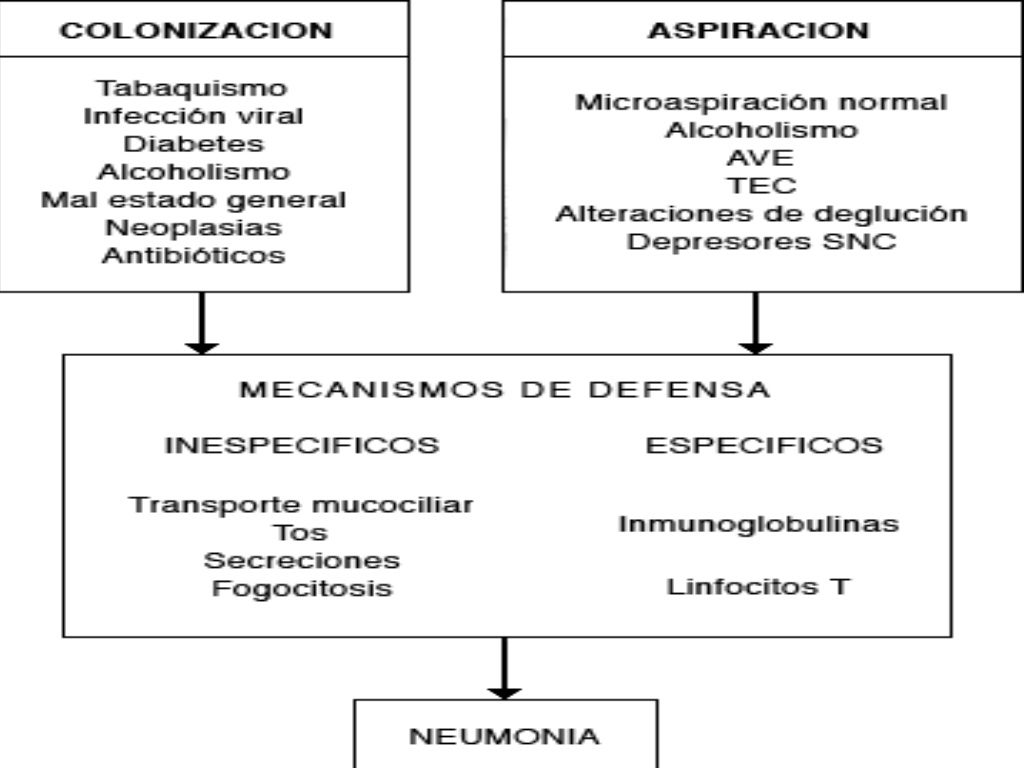 infección de vías respiratorias bajas infección de vías respiratorias bajas