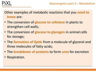 Bioenergetics part 2 – Metabolism
Other examples of metabolic reactions that you need to
know are:
• The conversion of glucose to cellulose in plants to
strengthen cell walls;
• The conversion of glucose to glycogen in animal cells
for storage;
• The formation of lipids from a molecule of glycerol and
three molecules of fatty acids;
• The breakdown of proteins to form urea for excretion
• Respiration.
 