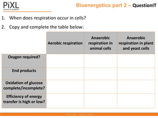 Bioenergetics part 2 – QuestionIT
1. When does respiration occur in cells?
2. Copy and complete the table below:
Aerobic respiration
Anaerobic
respiration in
animal cells
Anaerobic
respiration in plant
and yeast cells
Oxygen required?
End products
Oxidation of glucose
complete/incomplete?
Efficiency of energy
transfer is high or low?
 