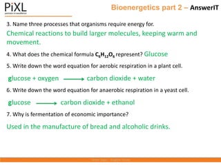 Bioenergetics part 2 – AnswerIT
3. Name three processes that organisms require energy for.
Chemical reactions to build larger molecules, keeping warm and
movement.
4. What does the chemical formula C6H12O6 represent? Glucose
5. Write down the word equation for aerobic respiration in a plant cell.
glucose + oxygen carbon dioxide + water
6. Write down the word equation for anaerobic respiration in a yeast cell.
glucose carbon dioxide + ethanol
7. Why is fermentation of economic importance?
Used in the manufacture of bread and alcoholic drinks.
 