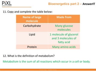 Bioenergetics part 2 – AnswerIT
11. Copy and complete the table below:
12. What is the definition of metabolism?
Metabolism is the sum of all reactions which occur in a cell or body.
Name of large
molecule
Made from
Carbohydrate Many glucose
molecules
Lipid 1 molecule of glycerol
and 3 molecules of
fatty acid
Protein Many amino acids
 