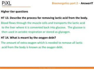 Bioenergetics part 2 – AnswerIT
Higher tier questions
HT 13. Describe the process for removing lactic acid from the body.
Blood flows through the muscle cells and transports the lactic acid
to the liver where it is converted back into glucose. The glucose is
then used in aerobic respiration or stored as glycogen.
HT 14. What is meant by the oxygen debt?
The amount of extra oxygen which is needed to remove all lactic
acid from the body is known as the oxygen debt.
 