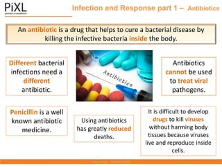 Infection and Response part 1 – Antibiotics
An antibiotic is a drug that helps to cure a bacterial disease by
killing the infective bacteria inside the body.
Different bacterial
infections need a
different
antibiotic.
Antibiotics
cannot be used
to treat viral
pathogens.
Penicillin is a well
known antibiotic
medicine.
It is difficult to develop
drugs to kill viruses
without harming body
tissues because viruses
live and reproduce inside
cells.
Using antibiotics
has greatly reduced
deaths.
 