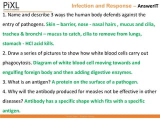 Infection and Response – AnswerIT
1. Name and describe 3 ways the human body defends against the
entry of pathogens. Skin – barrier, nose - nasal hairs , mucus and cilia,
trachea & bronchi – mucus to catch, cilia to remove from lungs,
stomach - HCl acid kills.
2. Draw a series of pictures to show how white blood cells carry out
phagocytosis. Diagram of white blood cell moving towards and
engulfing foreign body and then adding digestive enzymes.
3. What is an antigen? A protein on the surface of a pathogen.
4. Why will the antibody produced for measles not be effective in other
diseases? Antibody has a specific shape which fits with a specific
antigen.
 