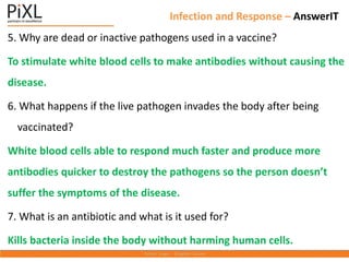 5. Why are dead or inactive pathogens used in a vaccine?
To stimulate white blood cells to make antibodies without causing the
disease.
6. What happens if the live pathogen invades the body after being
vaccinated?
White blood cells able to respond much faster and produce more
antibodies quicker to destroy the pathogens so the person doesn’t
suffer the symptoms of the disease.
7. What is an antibiotic and what is it used for?
Kills bacteria inside the body without harming human cells.
Infection and Response – AnswerIT
 