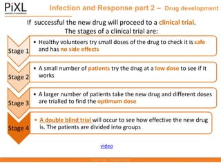 Infection and Response part 2 – Drug development
If successful the new drug will proceed to a clinical trial.
The stages of a clinical trial are:
Stage 1
• Healthy volunteers try small doses of the drug to check it is safe
and has no side effects
Stage 2
• A small number of patients try the drug at a low dose to see if it
works
Stage 3
• A larger number of patients take the new drug and different doses
are trialled to find the optimum dose
Stage 4
• A double blind trial will occur to see how effective the new drug
is. The patients are divided into groups
video
 