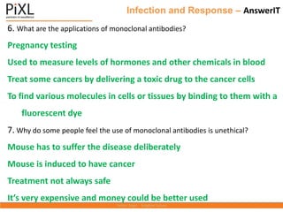 Infection and Response – AnswerIT
6. What are the applications of monoclonal antibodies?
Pregnancy testing
Used to measure levels of hormones and other chemicals in blood
Treat some cancers by delivering a toxic drug to the cancer cells
To find various molecules in cells or tissues by binding to them with a
fluorescent dye
7. Why do some people feel the use of monoclonal antibodies is unethical?
Mouse has to suffer the disease deliberately
Mouse is induced to have cancer
Treatment not always safe
It’s very expensive and money could be better used
 
