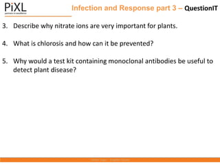 Infection and Response part 3 – QuestionIT
3. Describe why nitrate ions are very important for plants.
4. What is chlorosis and how can it be prevented?
5. Why would a test kit containing monoclonal antibodies be useful to
detect plant disease?
 