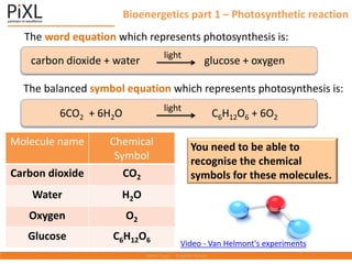 Bioenergetics part 1 – Photosynthetic reaction
carbon dioxide + water glucose + oxygen
light
The word equation which represents photosynthesis is:
Molecule name Chemical
Symbol
Carbon dioxide CO2
Water H2O
Oxygen O2
Glucose C6H12O6
You need to be able to
recognise the chemical
symbols for these molecules.
Video - Van Helmont's experiments
6CO2 + 6H2O C6H12O6 + 6O2
light
The balanced symbol equation which represents photosynthesis is:
 