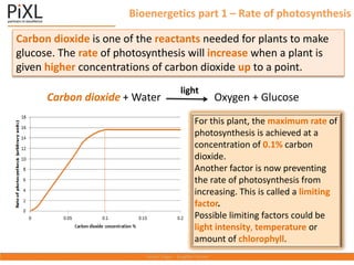 Bioenergetics part 1 – Rate of photosynthesis
Carbon dioxide is one of the reactants needed for plants to make
glucose. The rate of photosynthesis will increase when a plant is
given higher concentrations of carbon dioxide up to a point.
For this plant, the maximum rate of
photosynthesis is achieved at a
concentration of 0.1% carbon
dioxide.
Another factor is now preventing
the rate of photosynthesis from
increasing. This is called a limiting
factor.
Possible limiting factors could be
light intensity, temperature or
amount of chlorophyll.
Carbon dioxide + Water Oxygen + Glucose
light
 