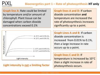 Bioenergetics part 1 – Rate of photosynthesis HT only
Light intensity is not a limiting factor
Graph lines C and D: If
temperature is increased by 10C
then a slight increase in rate of
photosynthesis occurs.
Graph Lines A and B: If carbon
dioxide concentration is
increased from 0.01% to 0.1%,
then a large increase in rate
occurs up to a point.
Graph lines A and D: If carbon
dioxide concentration and
temperature are increased the
rate of photosynthesis increases
significantly up to a point.
Graph line A: Rate could be limited
by temperature and/or amount of
chlorophyll. Plant tissue can be
damaged when carbon dioxide
concentrations exceed 0.1%
 