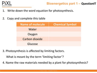 Bioenergetics part 1 – QuestionIT
1. Write down the word equation for photosynthesis.
2. Copy and complete this table
3. Photosynthesis is affected by limiting factors.
What is meant by the term ‘limiting factor’?
4. Name the raw materials needed by a plant for photosynthesis?
Name of molecule Chemical Symbol
Water
Oxygen
Carbon dioxide
Glucose
 