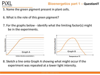 Bioenergetics part 1 – QuestionIT
5. Name the green pigment present in plant cells.
6. What is the role of this green pigment?
7. For the graphs below - identify what the limiting factor(s) might
be in the experiments.
8. Sketch a line onto Graph A showing what might occur if the
experiment was repeated at a lower light intensity.
Graph A Graph B
 