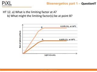Bioenergetics part 1 – QuestionIT
HT 12. a) What is the limiting factor at A?
b) What might the limiting factor(s) be at point B?
A
B
 