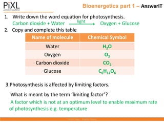 Bioenergetics part 1 – AnswerIT
1. Write down the word equation for photosynthesis.
Carbon dioxide + Water Oxygen + Glucose
2. Copy and complete this table
3.Photosynthesis is affected by limiting factors.
What is meant by the term ‘limiting factor’?
A factor which is not at an optimum level to enable maximum rate
of photosynthesis e.g. temperature
Name of molecule Chemical Symbol
Water H2O
Oxygen O2
Carbon dioxide CO2
Glucose C6H12O6
light
 