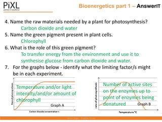 Bioenergetics part 1 – AnswerIT
4. Name the raw materials needed by a plant for photosynthesis?
Carbon dioxide and water
5. Name the green pigment present in plant cells.
Chlorophyll
6. What is the role of this green pigment?
To transfer energy from the environment and use it to
synthesise glucose from carbon dioxide and water.
7. For the graphs below - identify what the limiting factor/s might
be in each experiment.
Temperature and/or light
intensity/and/or amount of
chlorophyll
Number of active sites
on the enzymes up to
point of enzymes being
denatured
Graph A Graph B
 