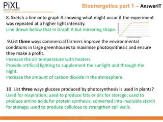 Bioenergetics part 1 – AnswerIT
8. Sketch a line onto graph A showing what might occur if the experiment
was repeated at a higher light intensity.
Line drawn below that in Graph A but mirroring shape.
9.List three ways commercial farmers improve the environmental
conditions in large greenhouses to maximise photosynthesis and ensure
they make a profit.
Increase the air temperature with heaters.
Provide artificial lighting to supplement the sunlight and through the
night.
Increase the amount of carbon dioxide in the atmosphere.
10. List three ways glucose produced by photosynthesis is used in plants?
Used for respiration; used to produce fats or oils for storage; used to
produce amino acids for protein synthesis; converted into insoluble starch
for storage; used to produce cellulose to strengthen cell walls.
 