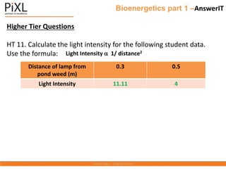 Bioenergetics part 1 –AnswerIT
Higher Tier Questions
HT 11. Calculate the light intensity for the following student data.
Use the formula: Light Intensity  1/ distance2
Distance of lamp from
pond weed (m)
0.3 0.5
Light Intensity 11.11 4
 