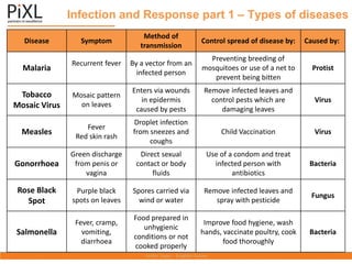 Infection and Response part 1 – Types of diseases
Disease Symptom
Method of
transmission
Control spread of disease by: Caused by:
Malaria
Recurrent fever By a vector from an
infected person
Preventing breeding of
mosquitoes or use of a net to
prevent being bitten
Protist
Tobacco
Mosaic Virus
Mosaic pattern
on leaves
Enters via wounds
in epidermis
caused by pests
Remove infected leaves and
control pests which are
damaging leaves
Virus
Measles
Fever
Red skin rash
Droplet infection
from sneezes and
coughs
Child Vaccination Virus
Gonorrhoea
Green discharge
from penis or
vagina
Direct sexual
contact or body
fluids
Use of a condom and treat
infected person with
antibiotics
Bacteria
Rose Black
Spot
Purple black
spots on leaves
Spores carried via
wind or water
Remove infected leaves and
spray with pesticide
Fungus
Salmonella
Fever, cramp,
vomiting,
diarrhoea
Food prepared in
unhygienic
conditions or not
cooked properly
Improve food hygiene, wash
hands, vaccinate poultry, cook
food thoroughly
Bacteria
 