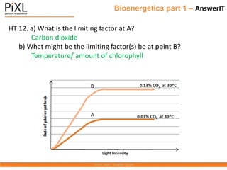Bioenergetics part 1 – AnswerIT
HT 12. a) What is the limiting factor at A?
Carbon dioxide
b) What might be the limiting factor(s) be at point B?
Temperature/ amount of chlorophyll
B
A
 