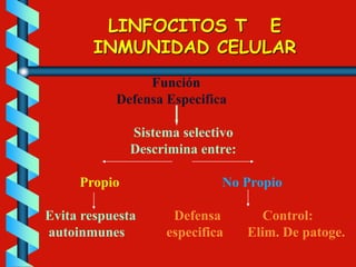 LINFOCITOS T E
INMUNIDAD CELULAR
Función
Defensa Especifica
Sistema selectivo
Descrimina entre:
Propio No Propio
Evita respuesta Defensa Control:
autoinmunes especifica Elim. De patoge.
 