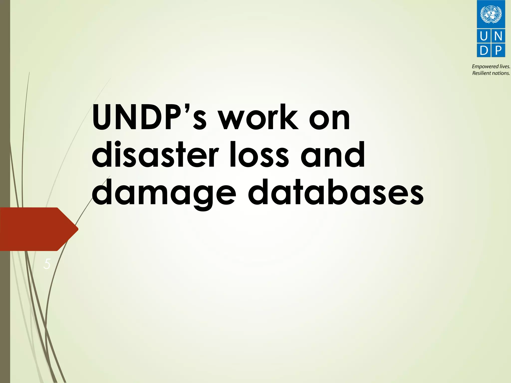 UNDP’s work on
disaster loss and
damage databases
5
 