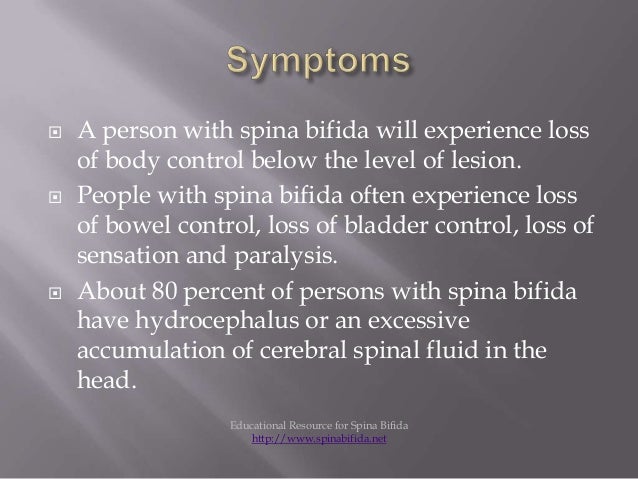3 Interesting Spina Bifida Statistics