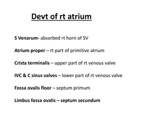 3 internal features of the heart | PPTX