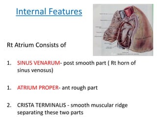 3 internal features of the heart | PPTX