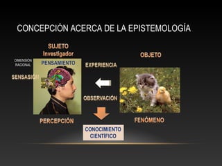 CONCEPCIÓN ACERCA DE LA EPISTEMOLOGÍA 
DIMENSIÓN 
RACIONAL 
 
