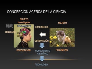 CONCEPCIÓN ACERCA DE LA CIENCIA 
DIMENSIÓN 
RACIONAL 
 