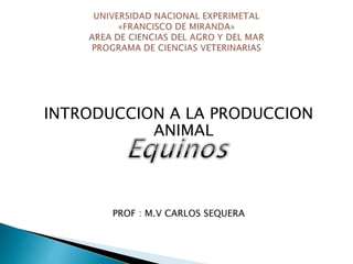 INTRODUCCION A LA PRODUCCION
ANIMAL
PROF : M.V CARLOS SEQUERA
 