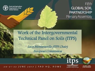 Work of the Intergovernmental
Technical Panel on Soils (ITPS)
Luca Montanarella (ITPS Chair)
European Commission
 