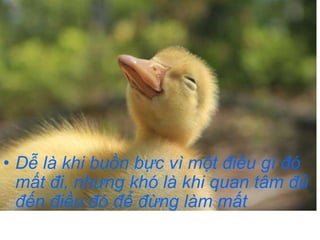 • Dễ là khi buồn bực vì một điều gì đó 
mất đi, nhưng khó là khi quan tâm đủ 
đến điều đó để đừng làm mất 
 