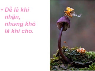 • Dễ là khi 
nhận, 
nhưng khó 
là khi cho. 
 