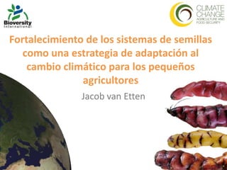Fortalecimiento de los sistemas de semillas
   como una estrategia de adaptación al
    cambio climático para los pequeños
               agricultores
               Jacob van Etten
 