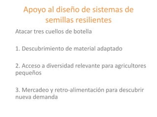 Fortalecimiento de los sistemas de semillas como una estrategia de adaptación al cambio climático para los pequeños agricultores, Por Jacob Van Etten 