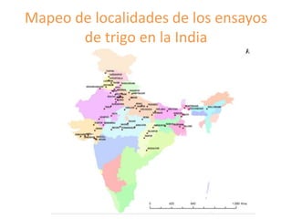 Fortalecimiento de los sistemas de semillas como una estrategia de adaptación al cambio climático para los pequeños agricultores, Por Jacob Van Etten 