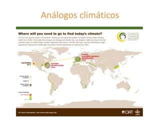 Fortalecimiento de los sistemas de semillas como una estrategia de adaptación al cambio climático para los pequeños agricultores, Por Jacob Van Etten 
