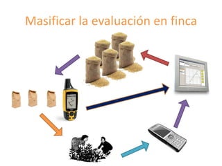 Fortalecimiento de los sistemas de semillas como una estrategia de adaptación al cambio climático para los pequeños agricultores, Por Jacob Van Etten 