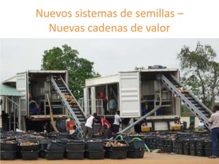 Fortalecimiento de los sistemas de semillas como una estrategia de adaptación al cambio climático para los pequeños agricultores, Por Jacob Van Etten 
