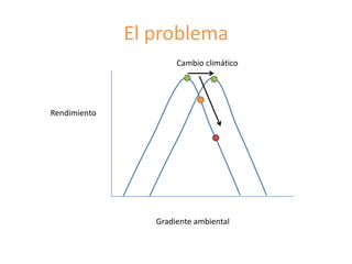 Fortalecimiento de los sistemas de semillas como una estrategia de adaptación al cambio climático para los pequeños agricultores, Por Jacob Van Etten 