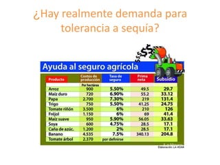Fortalecimiento de los sistemas de semillas como una estrategia de adaptación al cambio climático para los pequeños agricultores, Por Jacob Van Etten 