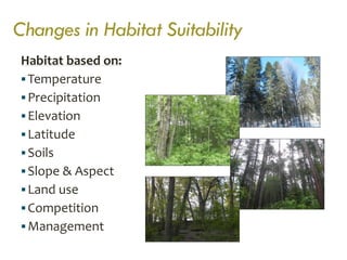 Climate Change Effects on Forest | PDF