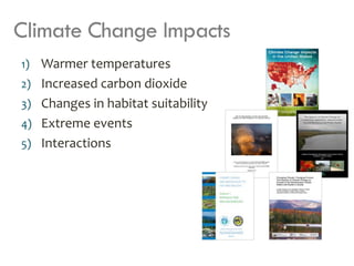 Climate Change Effects on Forest | PDF