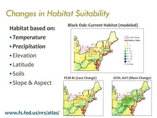Climate Change Effects on Forest | PDF