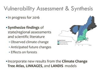 Climate Change Effects on Forest | PDF