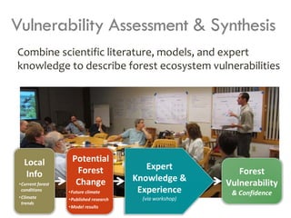 Climate Change Effects on Forest | PDF