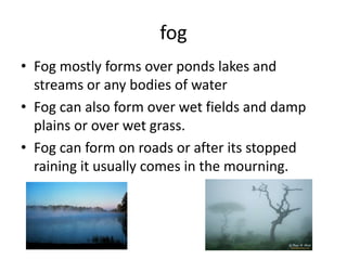 fog
• Fog mostly forms over ponds lakes and
  streams or any bodies of water
• Fog can also form over wet fields and damp
  plains or over wet grass.
• Fog can form on roads or after its stopped
  raining it usually comes in the mourning.
 