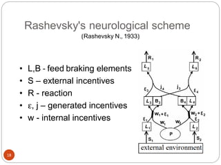 Rashevsky's neurological scheme
18
• L,B - feed braking elements
• S – external incentives
• R - reaction
• ε, j – generated incentives
• w - internal incentives
(Rashevsky N., 1933)
 